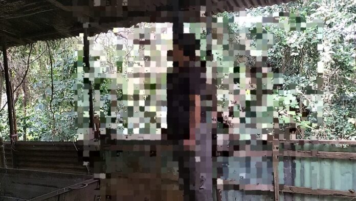 WhatsApp Image 2025-10-29 at 19.34.58